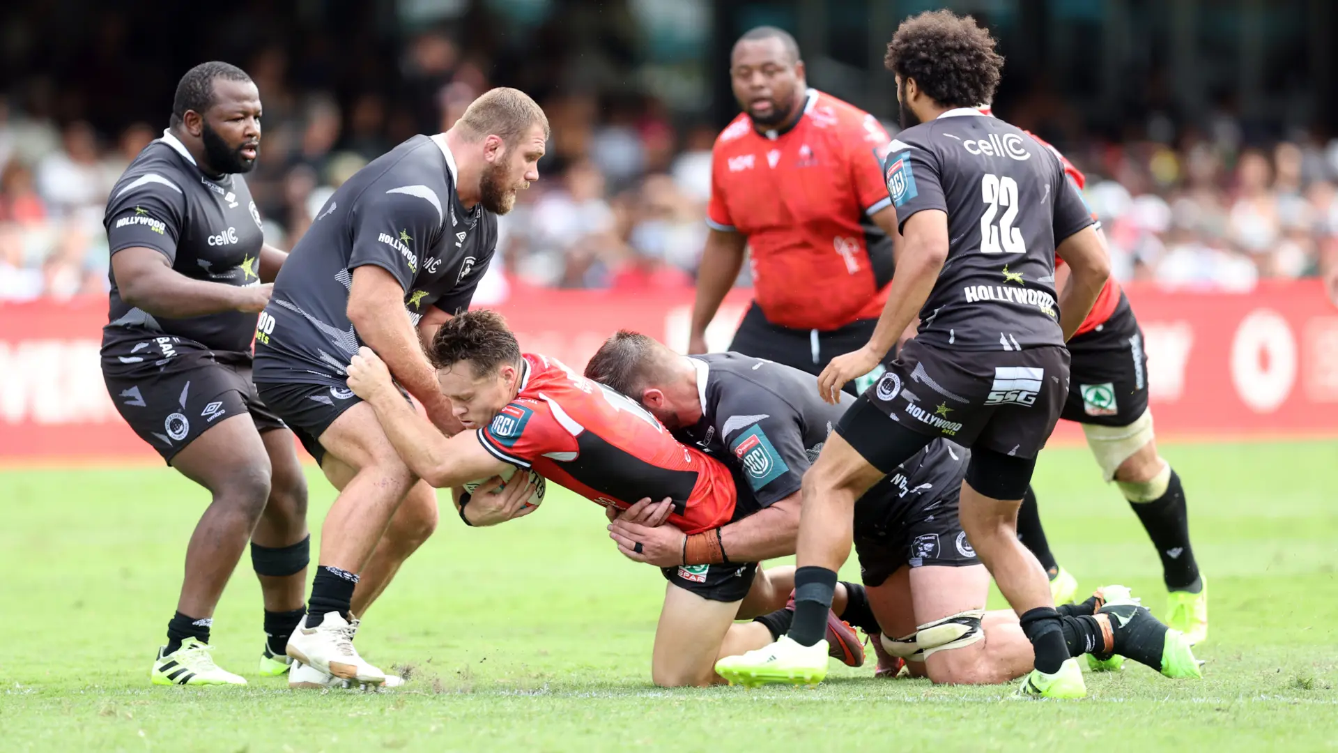 Sharks' game must improve to survive Champions Cup bunfight