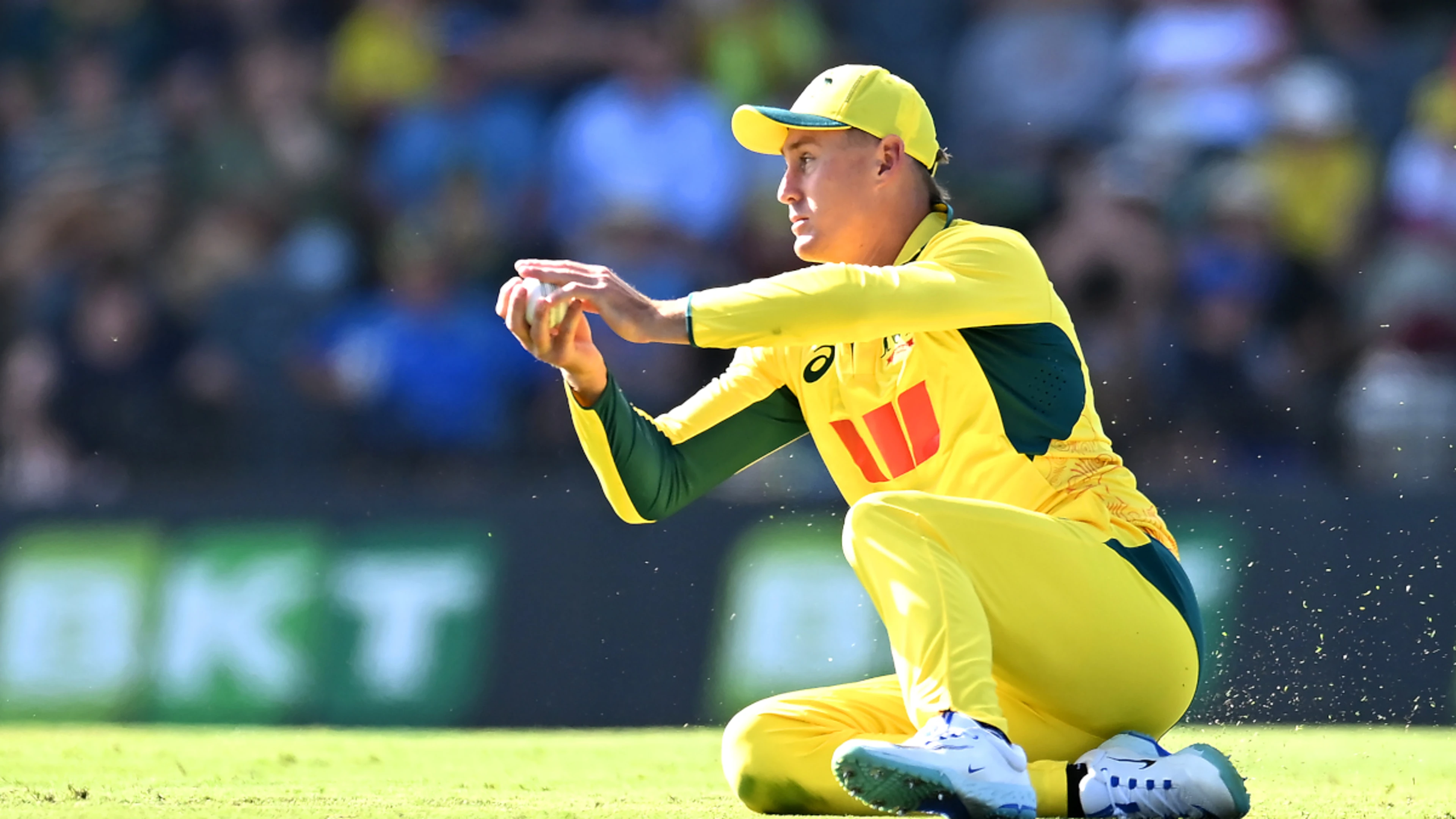 Labuschagne replaces Green in Australia ODI squad against India