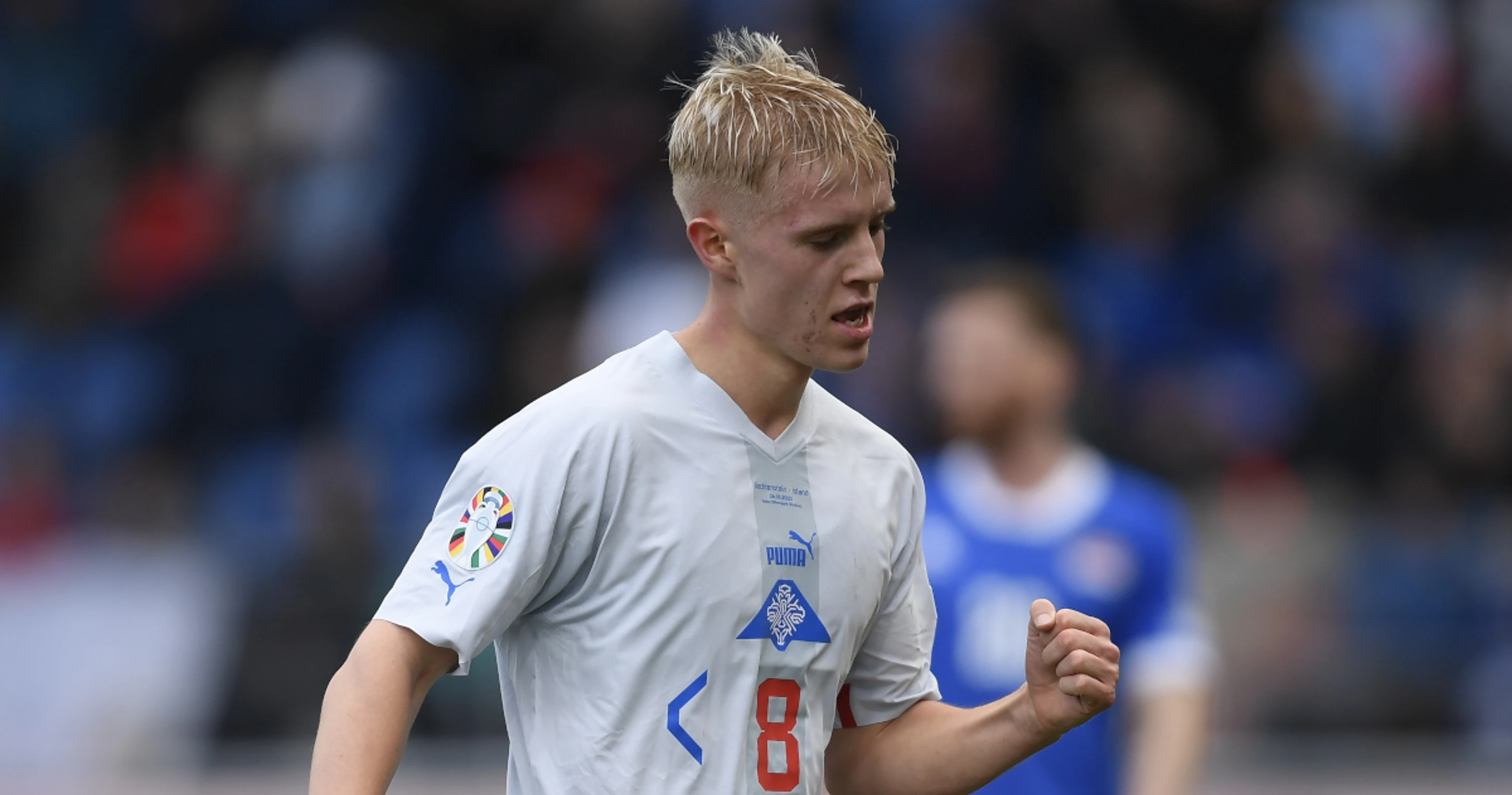 Lille sign Iceland midfielder Haraldsson on five-year deal