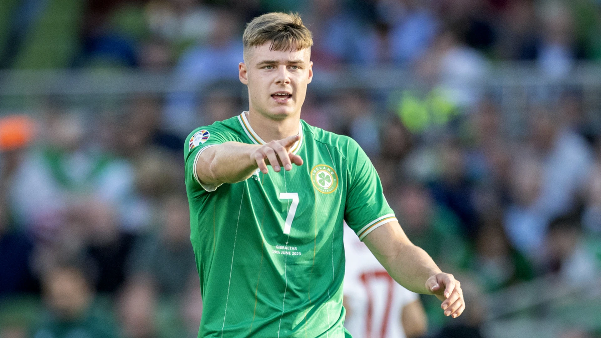 Ferguson out of Ireland's Euro qualifiers