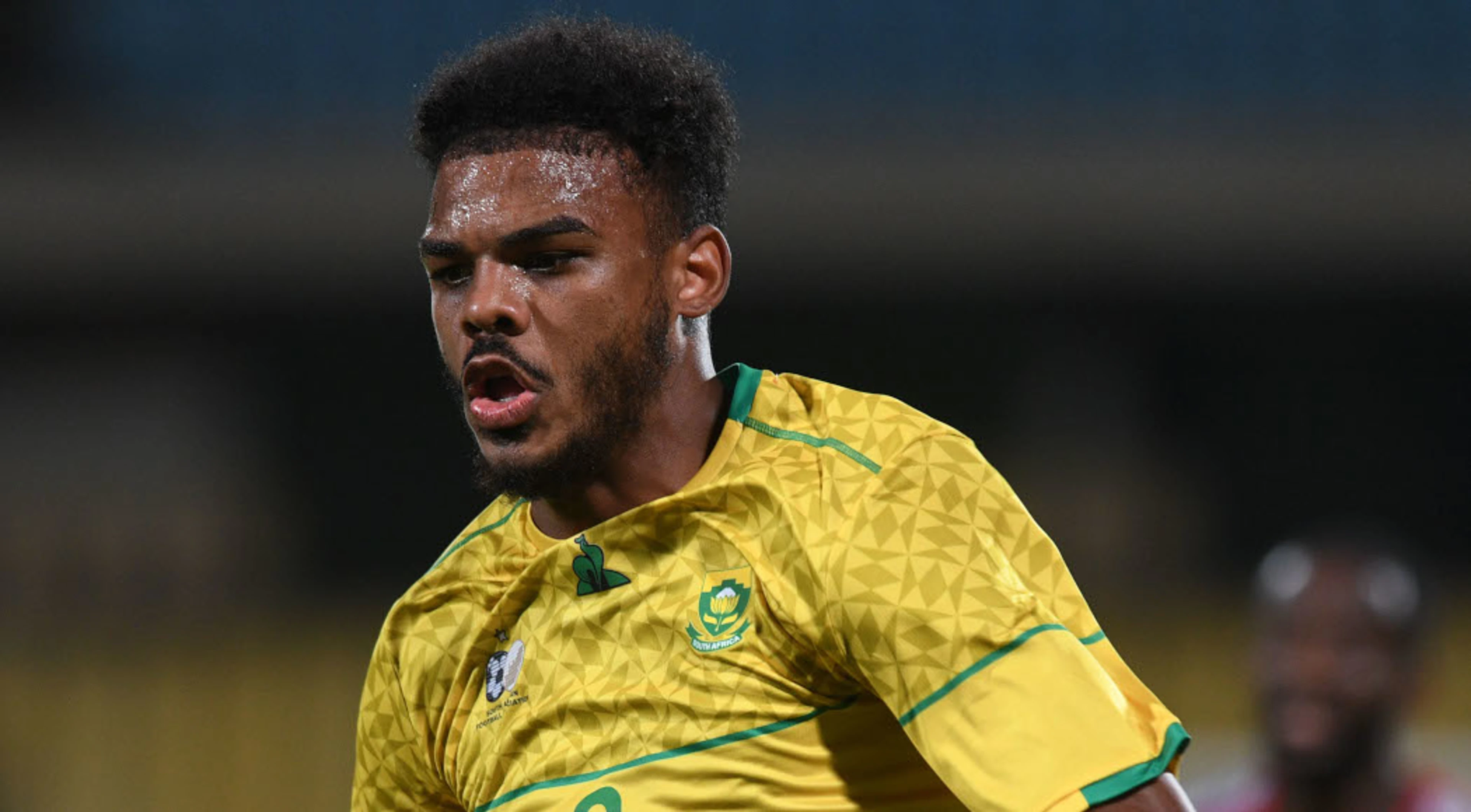 Bafana Bafana held by Guinea