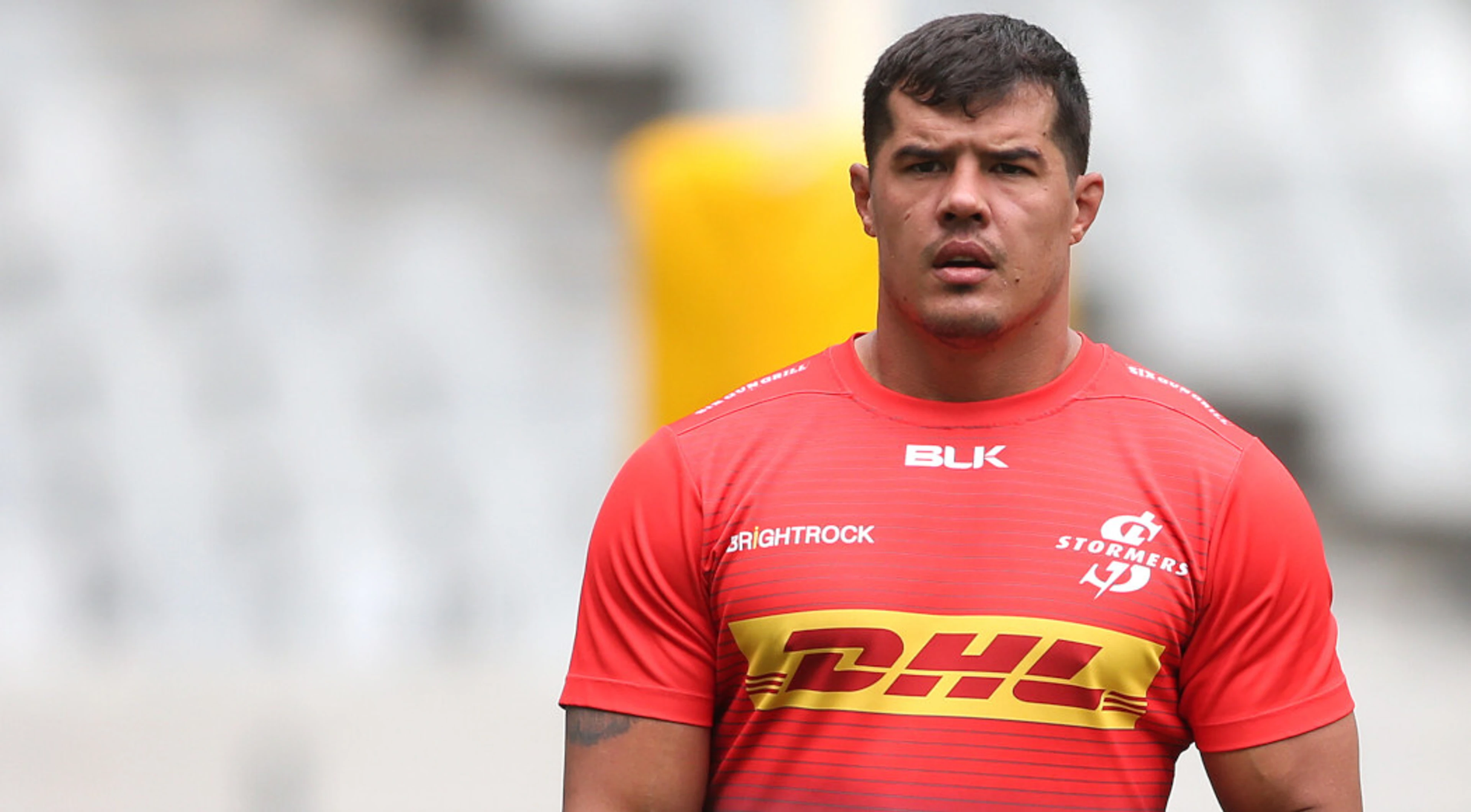 Engelbrecht further boosts Stormers loose-forward stocks